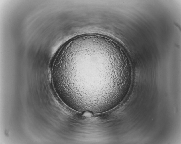 X0000102501509200808151508