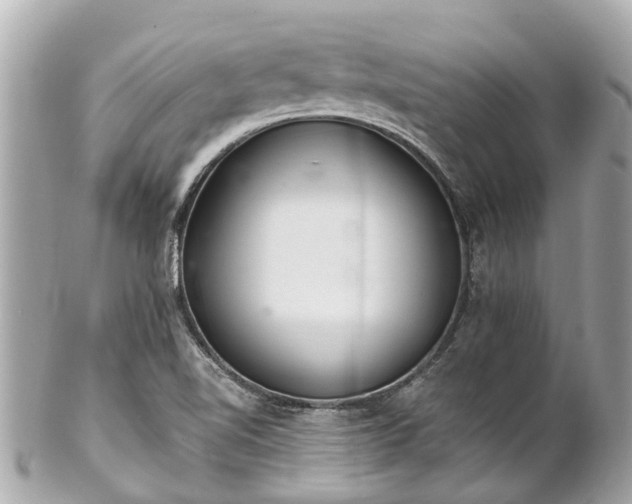 X0000102501510200808151508