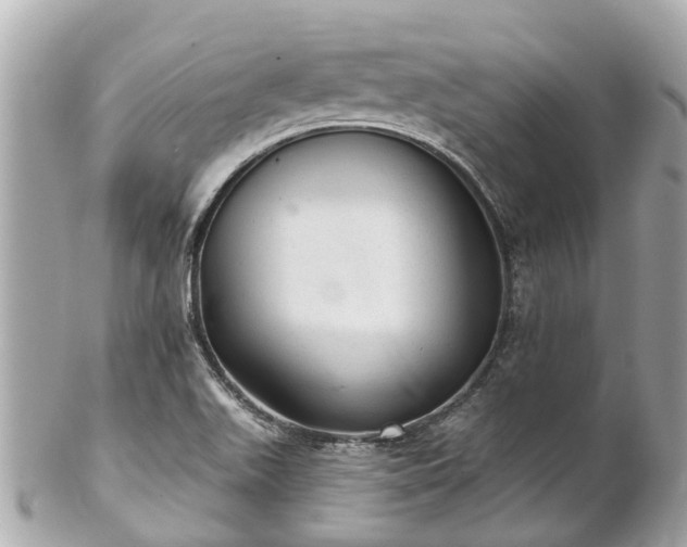 X0000102501511200808151508