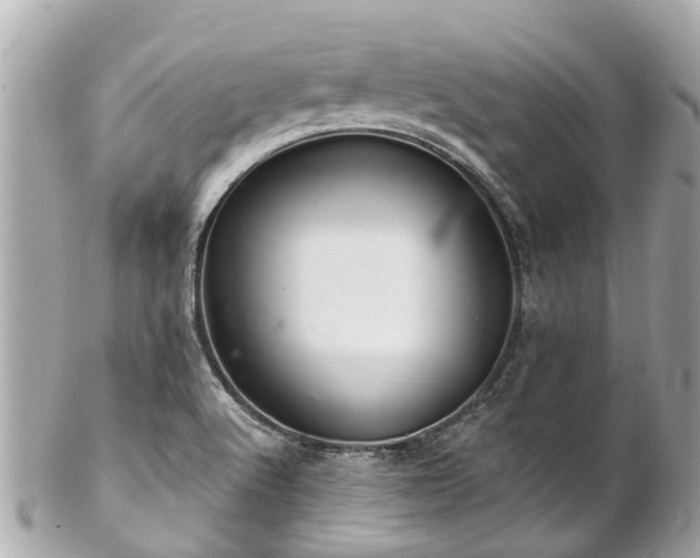 X0000102501512200808151508