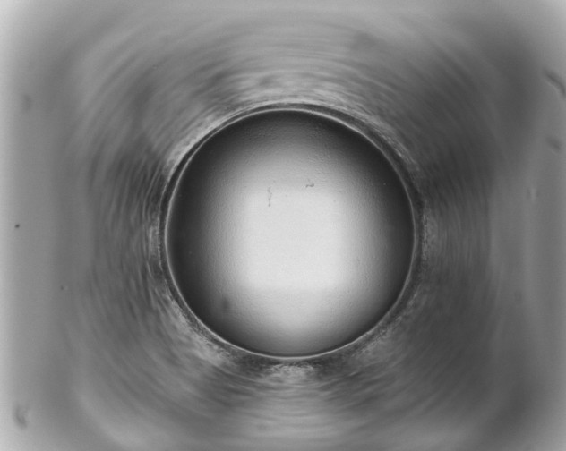 X0000102501513200808151508