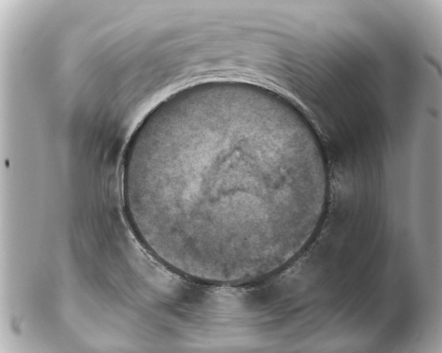 X0000102501514200808151508