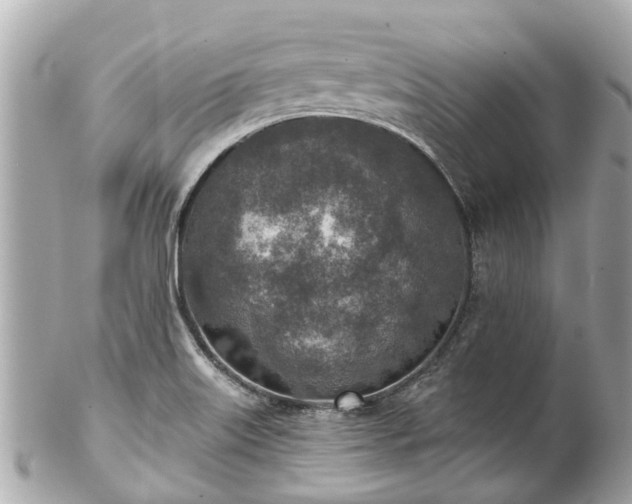 X0000102501515200808151508