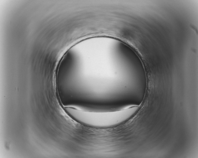 X0000102501516200808151508