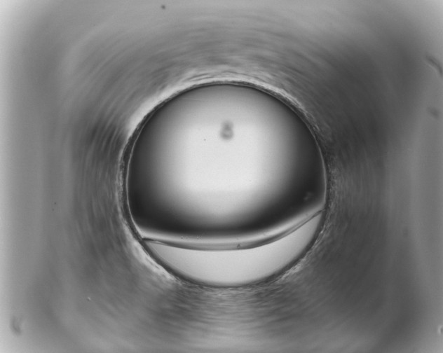 X0000102501518200808151508