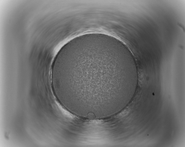 X0000102501519200808151508