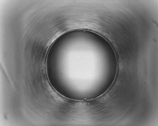 X0000102501521200808151508