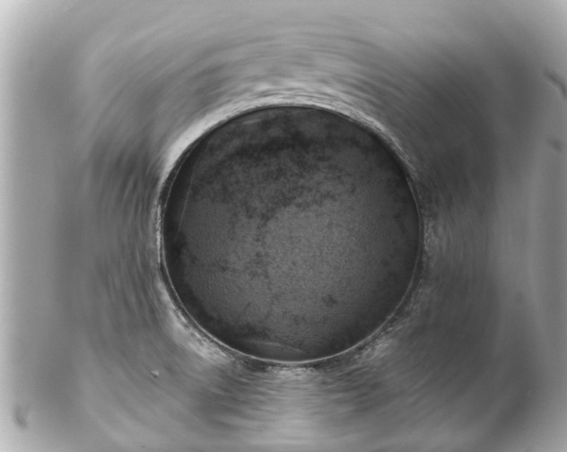 X0000102501522200808151508