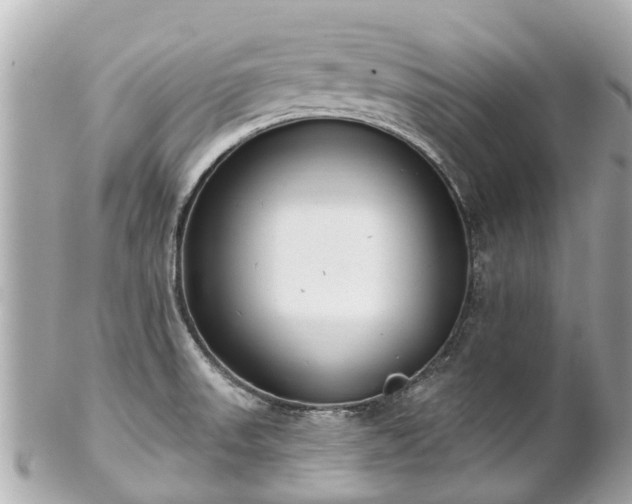 X0000102501523200808151508