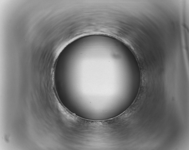 X0000102501524200808151508