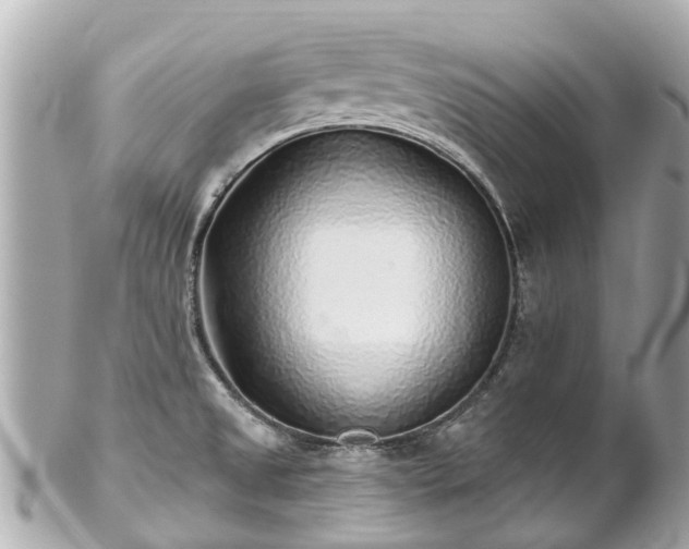 X0000102501525200808151508