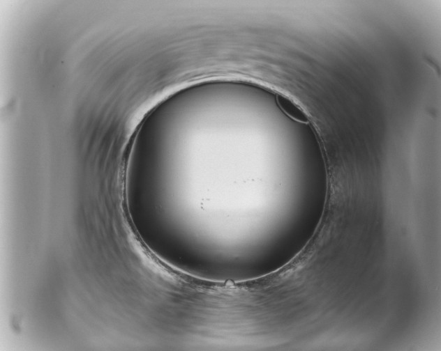 X0000102501526200808151508