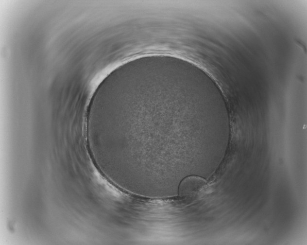 X0000102501527200808151508