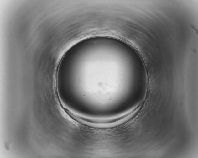 X0000102501528200808151508