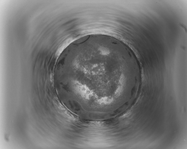 X0000102501529200808151508