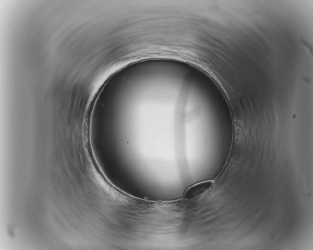 X0000102501531200808151508