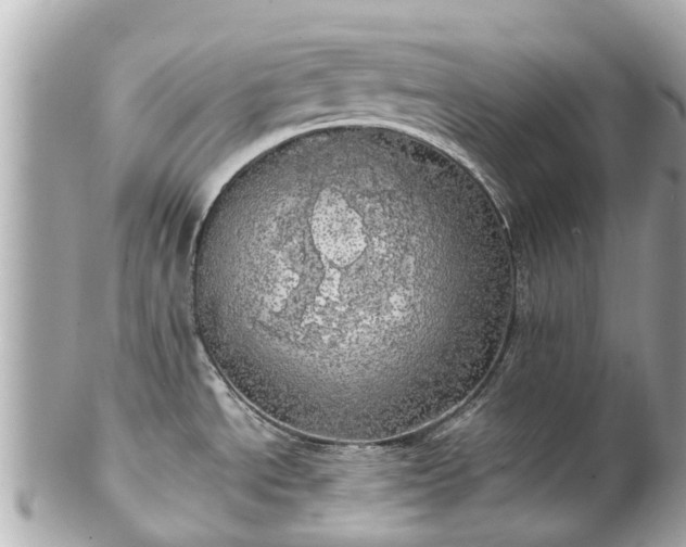 X0000102501534200808151508