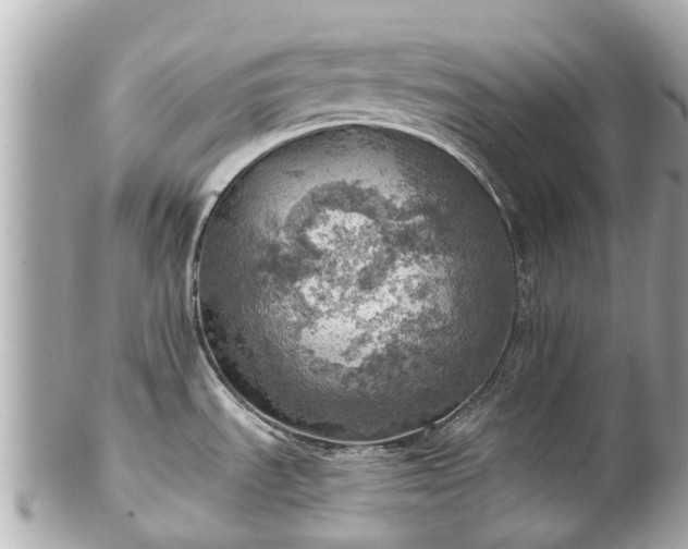 X0000102501535200808151508