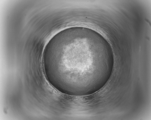 X0000102501536200808151508