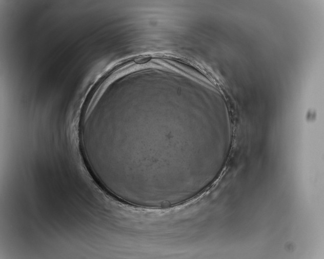 X0000102500002200808221805