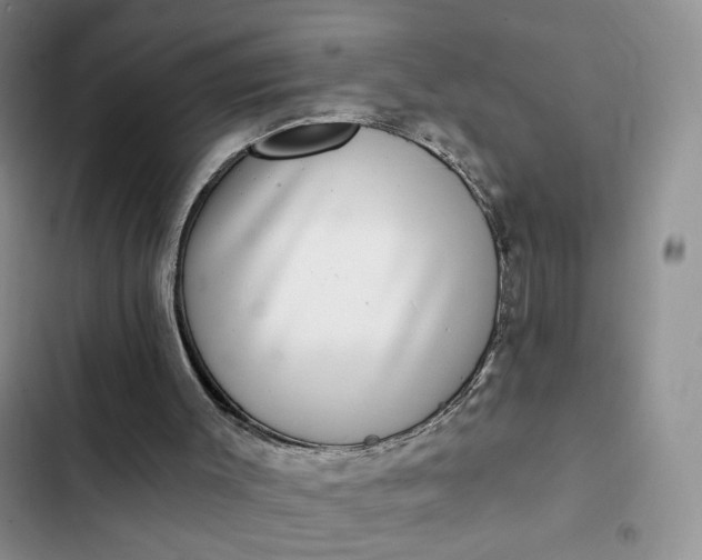 X0000102500003200808221805