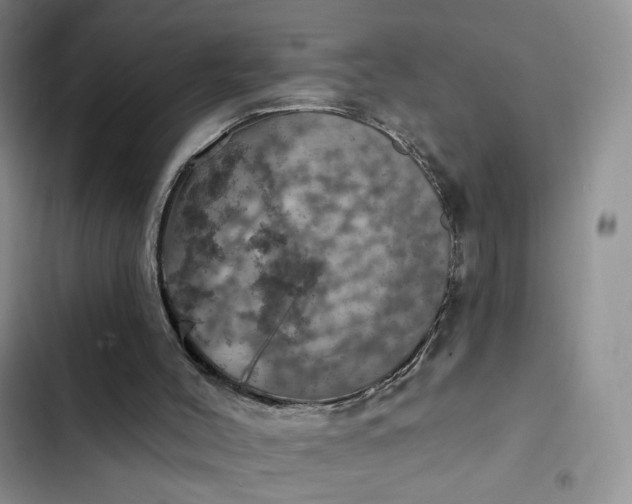 X0000102500004200808221805