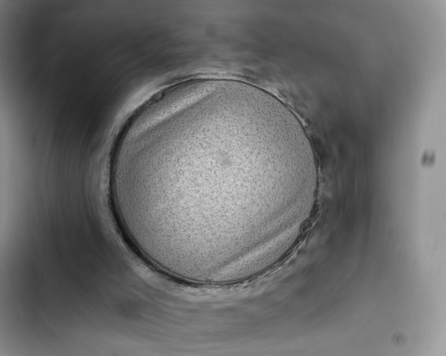 X0000102500005200808221805