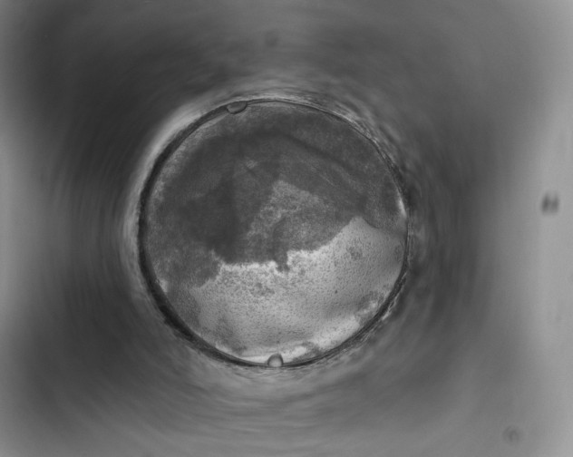 X0000102500006200808221805