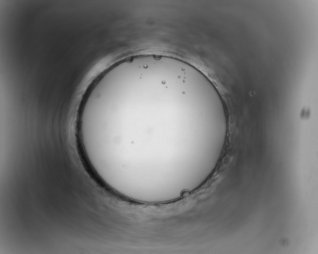 X0000102500007200808221805