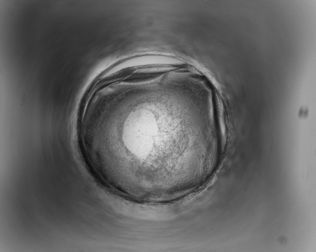 X0000102500008200808221805