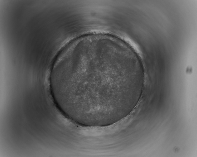 X0000102500009200808221805