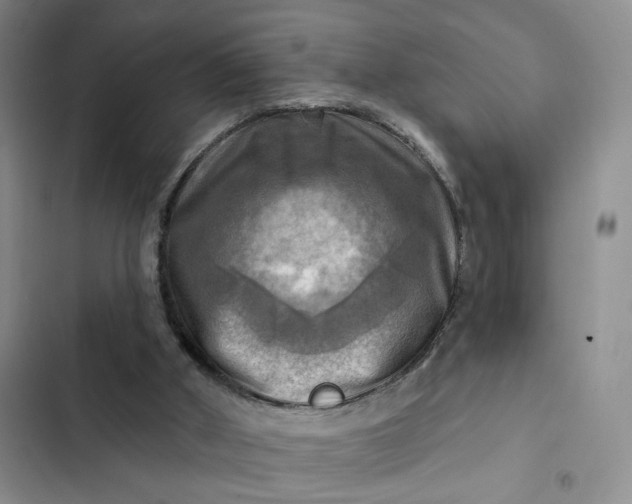 X0000102500010200808221805