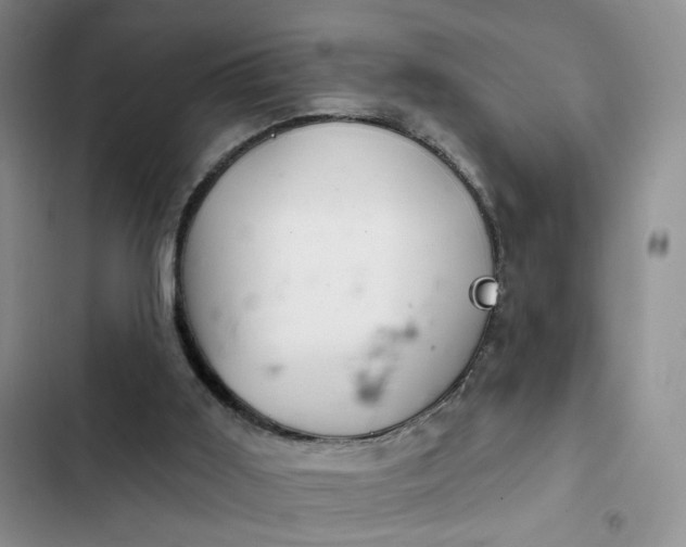 X0000102500011200808221805