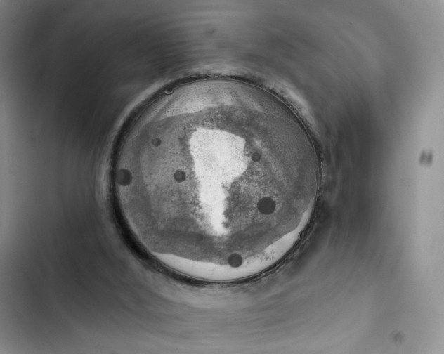 X0000102500012200808221805