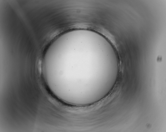 X0000102500013200808221805