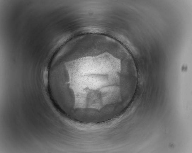 X0000102500014200808221805