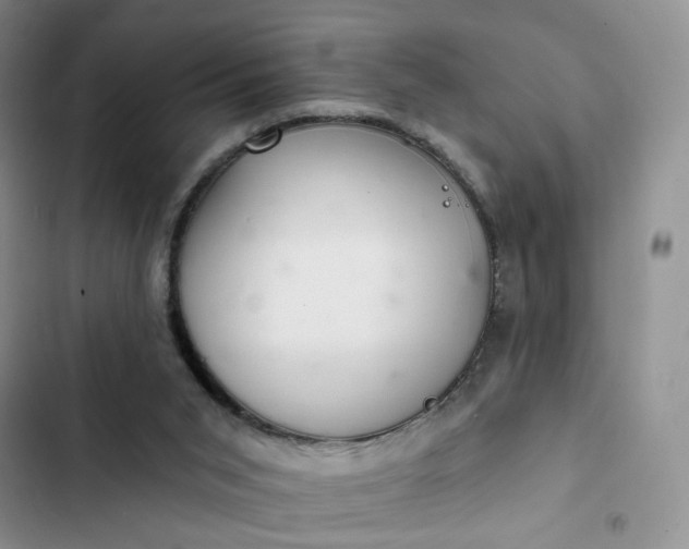 X0000102500015200808221805