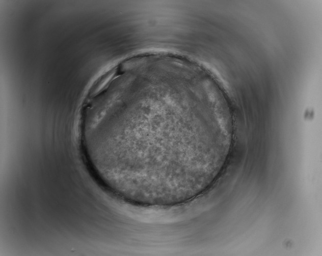 X0000102500016200808221805