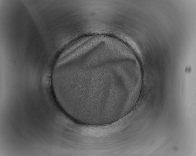 X0000102500017200808221805