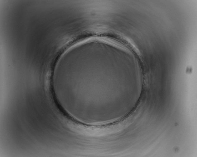 X0000102500018200808221805