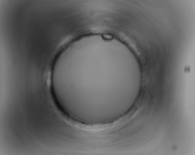 X0000102500019200808221805