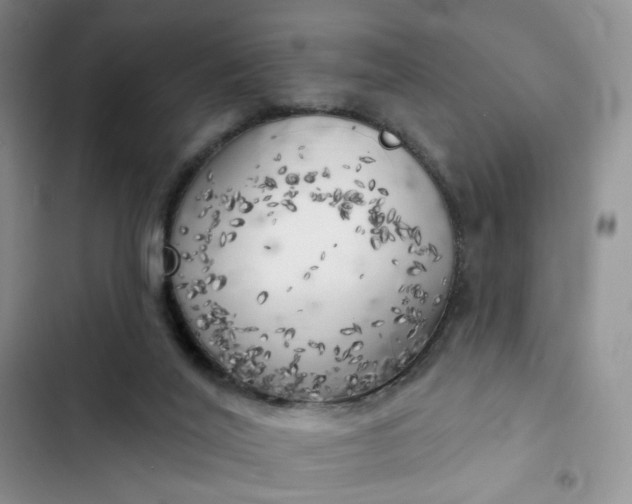 X0000102500020200808221805