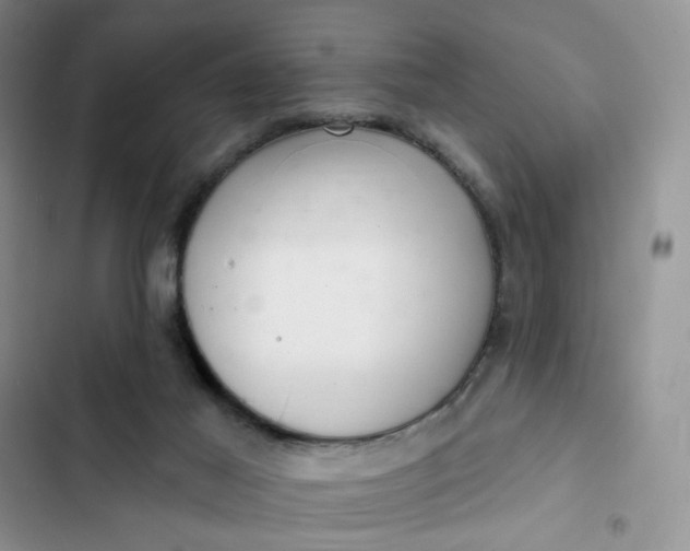 X0000102500021200808221804