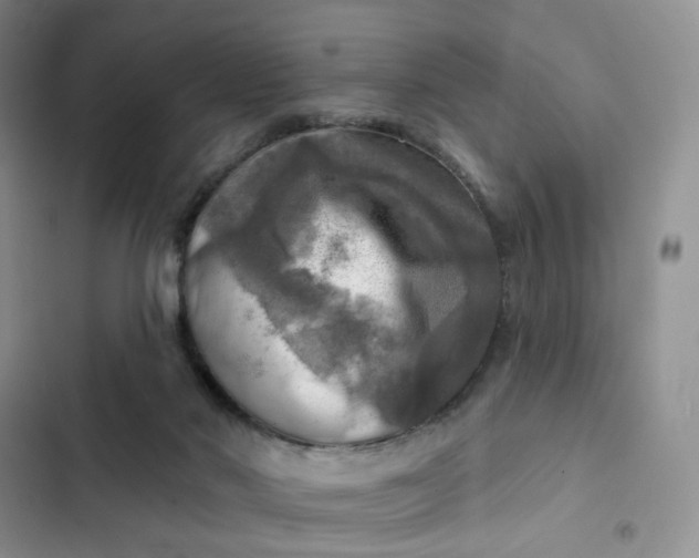 X0000102500022200808221804