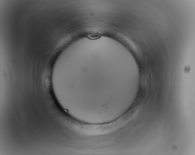 X0000102500023200808221804