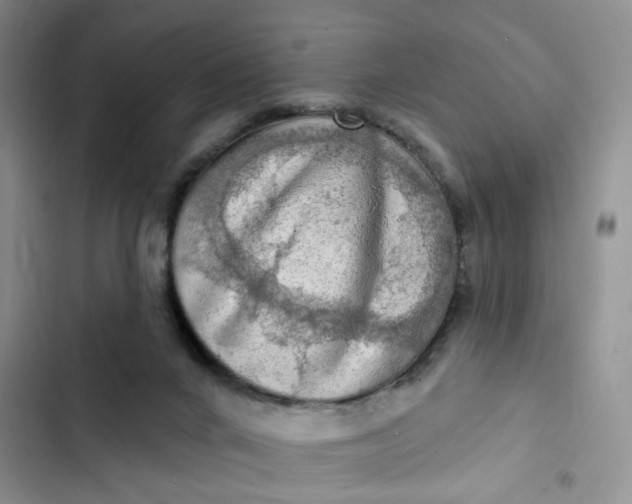 X0000102500024200808221804