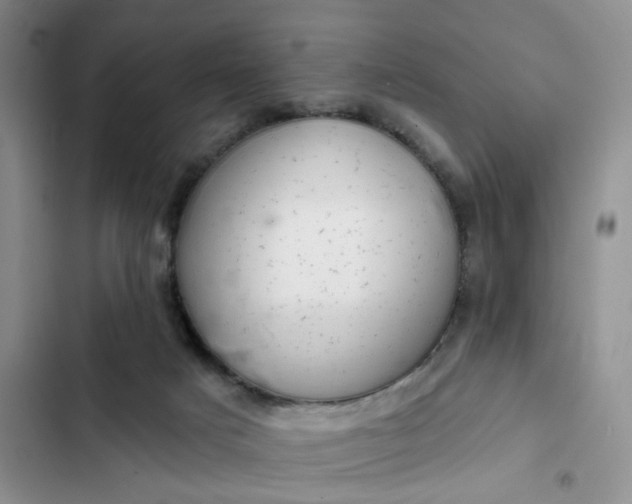 X0000102500025200808221804