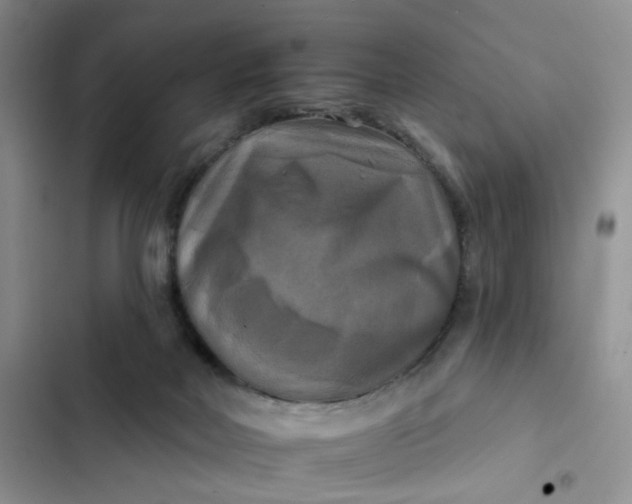 X0000102500026200808221804