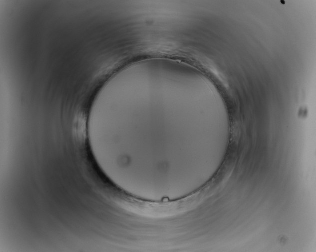 X0000102500027200808221804