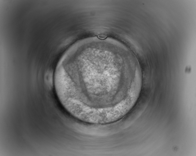 X0000102500028200808221804